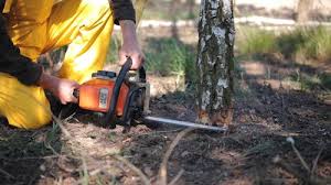 Best Lawn Watering Services  in Kingsbury, NV